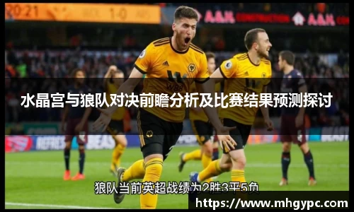 水晶宫与狼队对决前瞻分析及比赛结果预测探讨