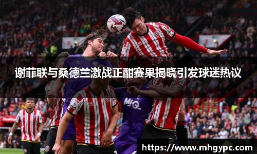 谢菲联与桑德兰激战正酣赛果揭晓引发球迷热议